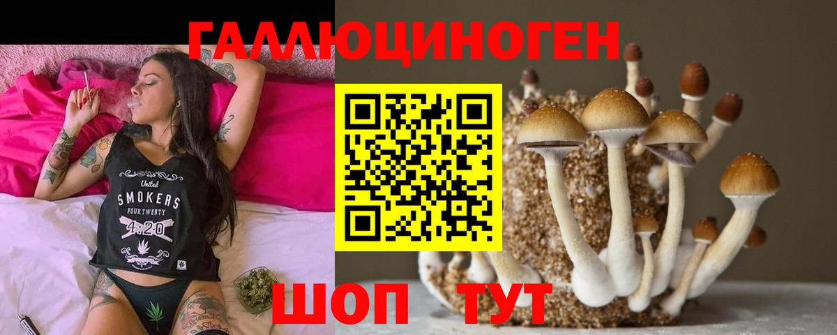 Назарово  Псилоцибиновые грибы GOLDEN TEACHER  Вход с VPN 